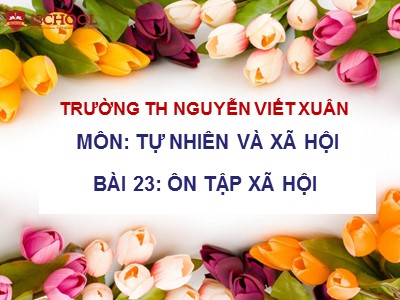 Bài 23: Ôn tập xã hội - Trường TH Nguyễn Viết Xuân