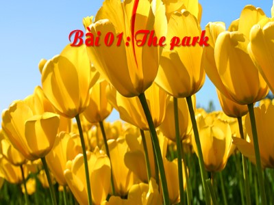 Bài giảng Tiếng Anh 2 - Bài 01: The park
