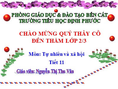 Bài giảng Tự nhiên xã hội 2 - Bài 11: Gia đình - Nguyễn Thị Thu Vân