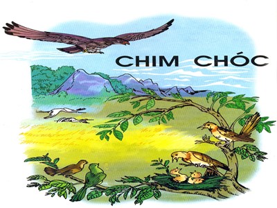 Bài giảng môn Tập đọc 2 - Chim sơn ca và bông cúc trắng