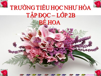 Bài giảng Tập đọc 2 - Bé Hoa - Trường tiểu học Như Hòa