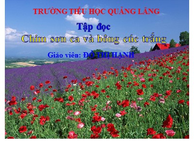 Bài giảng Tập đọc 2 - Chim sơn ca và bông cúc trắng - Trường tiểu học Quảng Lãng