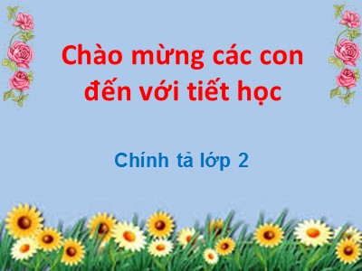 Bài giảng Tập đọc 2 - Ngày hội đua voi ở Tây Nguyên