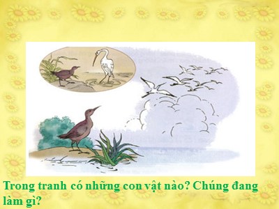 Bài giảng Tập đọc 2 - Tiết dạy: Cò và quốc