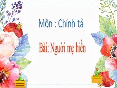 Bài giảng Tập đọc 2 - Bài: Người mẹ hiền