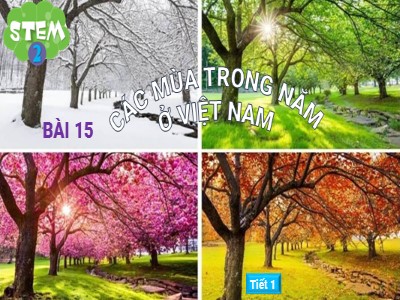 Bài giảng Tự nhiên và Xã hội 2 (Cánh diều) - Bài 15: Các mùa trong năm ở Việt Nam (Tiết 1)
