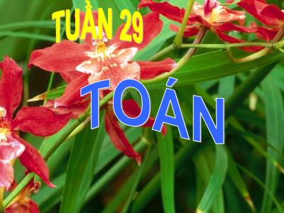 Bài giảng môn Toán Lớp 2 - Tuần 29 - Bài: Các số từ 111 đến 200