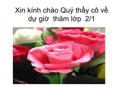 Bài giảng Chính tả Lớp 2 (Nghe-viết) - Tiết 20: Ông và cháu