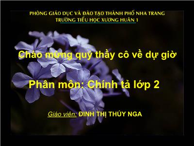 Bài giảng Chính tả Lớp 2 (Tập chép) - Tiết 11: Mẩu giấy vụn - Đinh Thị Thúy Nga