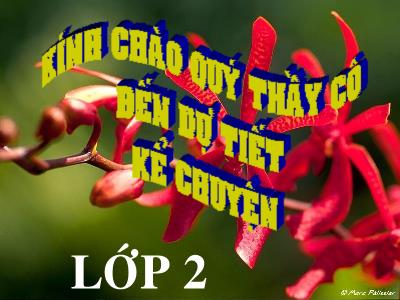 Bài giảng Kể chuyện Lớp 2 - Tiết 22: Một trí khôn hơn trăm trí khôn