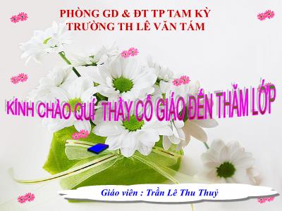 Bài giảng Tập làm văn Lớp 2 - Tiết 17: Ngạc nhiên, thích thú. Lập thời gian biểu - Trần Lê Thu Thuỷ