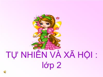 Bài giảng Tự nhiên và xã hội Lớp 2 - Tiết 15: Trường học