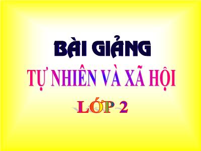 Bài giảng Tự nhiên và xã hội Lớp 2 - Tiết 21: Cuộc sống xung quanh (Tiết 1)