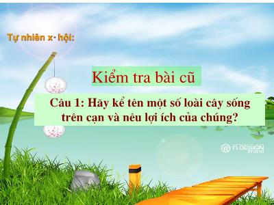 Bài giảng Tự nhiên và xã hội Lớp 2 - Tiết 26: Một số cây sống dưới nước