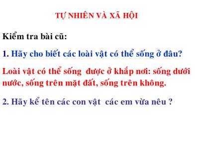 Bài giảng Tự nhiên và xã hội Lớp 2 - Tiết 28, Bài 28: Một số loài vật sống trên cạn