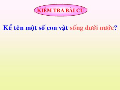 Bài giảng Tự nhiên và xã hội Lớp 2 - Tiết 30: Nhận biết cây cối và các con vật