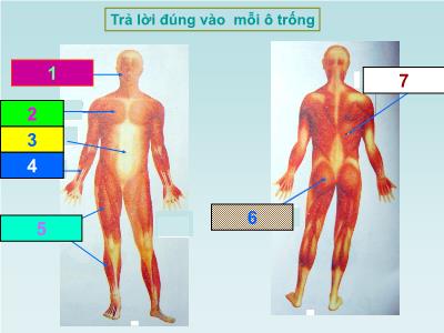 Bài giảng Tự nhiên và xã hội Lớp 2 - Tiết 4: Làm gì để xương và cơ phát triển tốt?