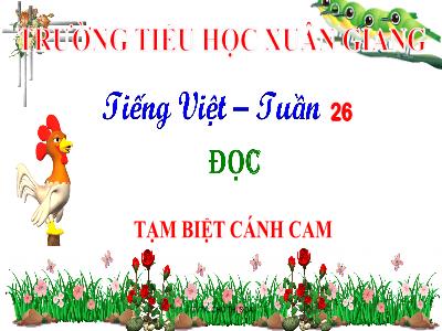 Bài giảng Tiếng Việt Lớp 2 (Kết nối tri thức) - Chủ đề: Hành tinh xanh của em - Bài 16: Tạm biệt cánh cam - Năm học 2022-2023 - Đinh Thị Mai