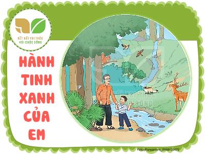 Bài giảng Tiếng Việt 2 (Kết nối tri thức) - Bài 9: Vè chim