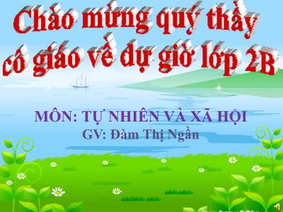 Bài giảng môn TNXH Lớp 2 - Bài 13: Giữ sạch môi trường xung quanh nhà ở (GV: Đàm Thị Ngần)