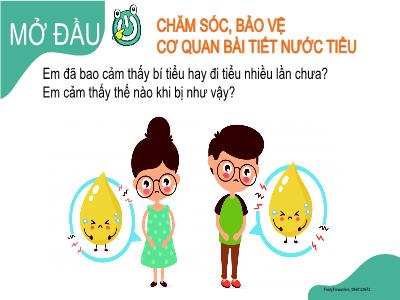 Bài giảng môn TNXH Lớp 2 - Bài 26: Chăm sóc, bảo vệ cơ quan bài tiết nước tiểu