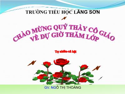 Bài giảng môn TNXH Lớp 2 - Bài 32: Mặt Trời và phương hướng (GV: Ngô Thị Thoáng)