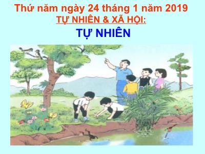 Bài giảng môn TNXH Lớp 2 - Bài: Thực vật (GV: Hà Văn Quân)