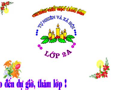 Bài giảng môn TNXH Lớp 2 - Tuần 9, Bài 9: Đề phòng bệnh giun (GV: Dương Thị Ngọc Liên)